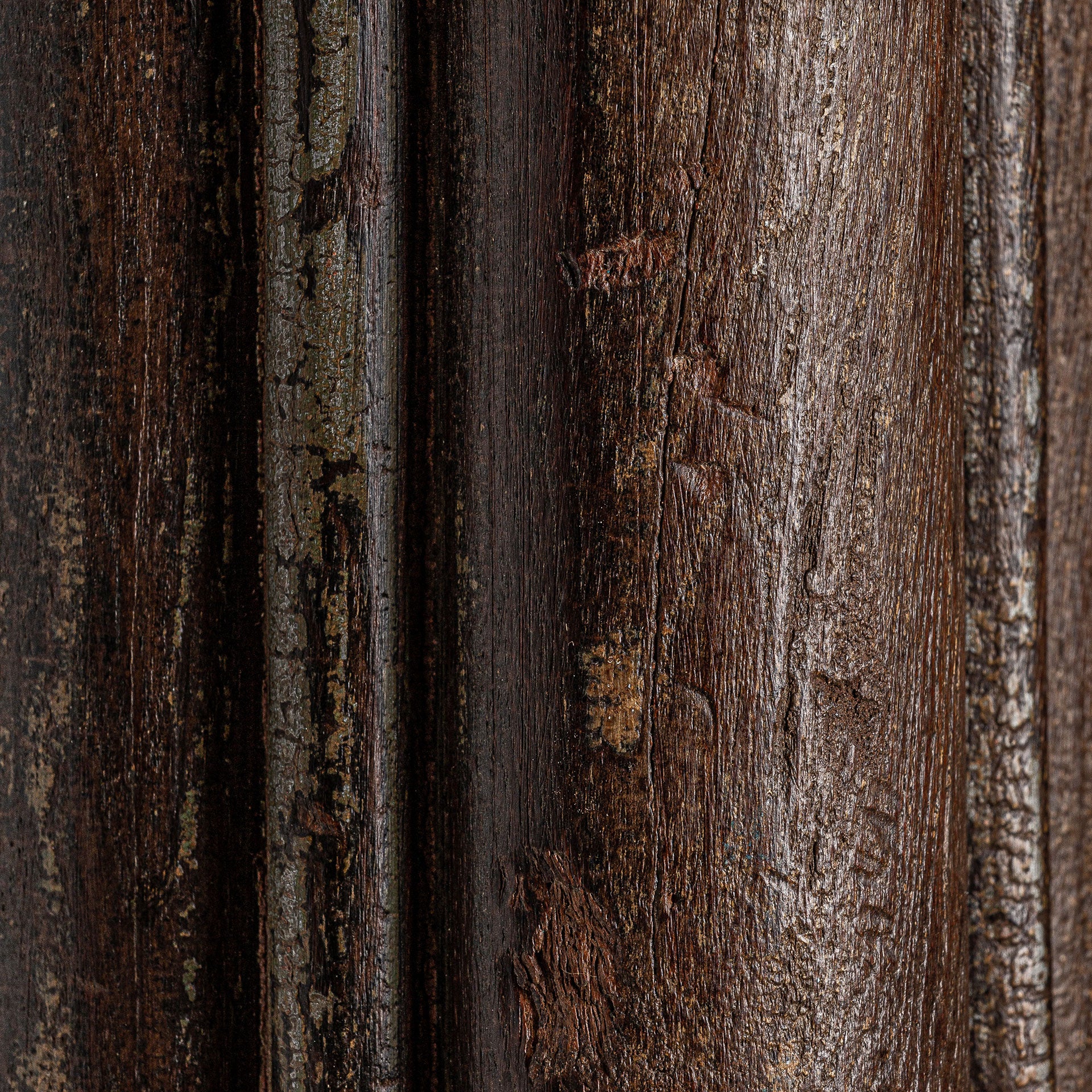 DANYA COLUMN